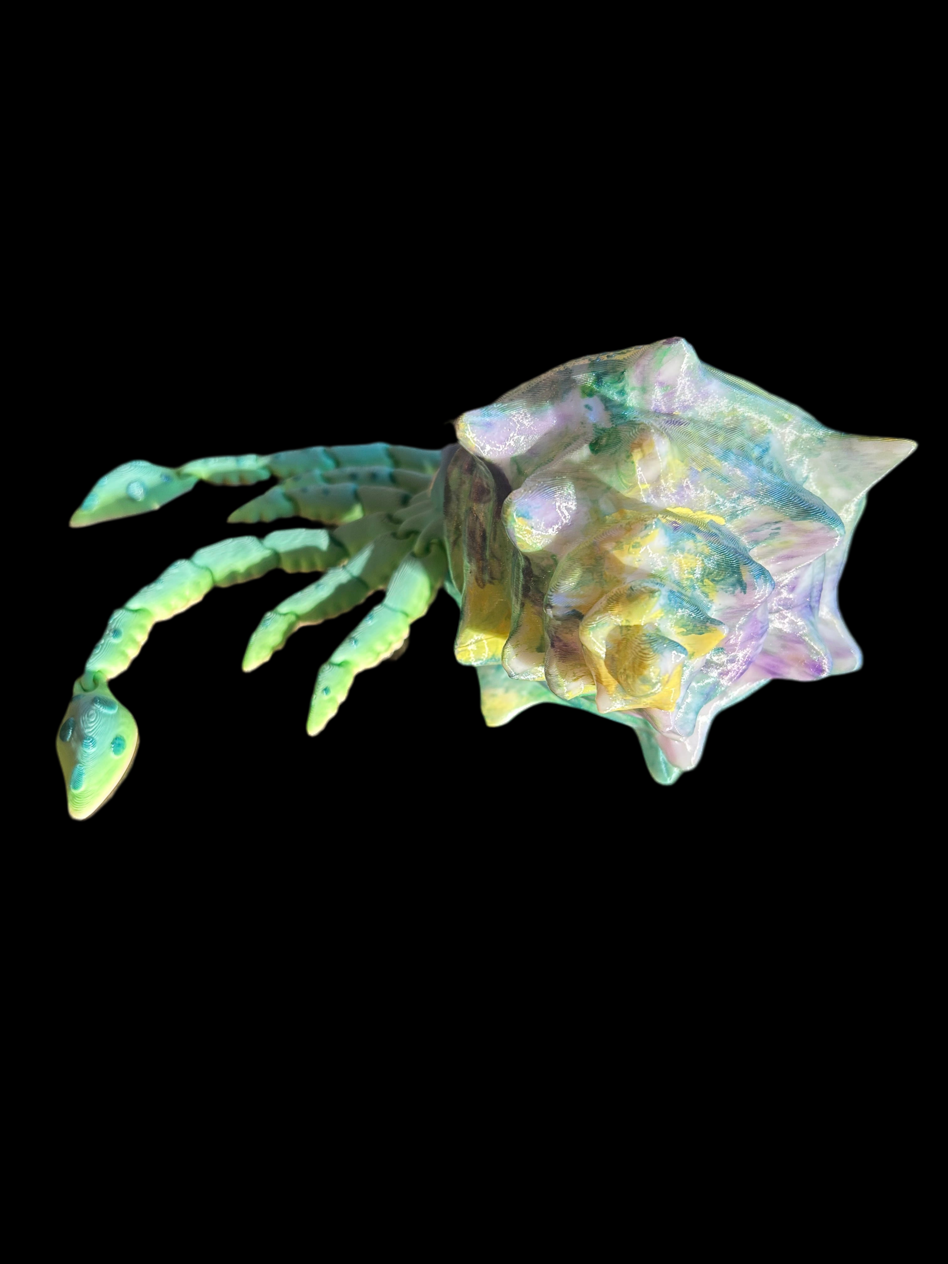 Squid - Hand Painted