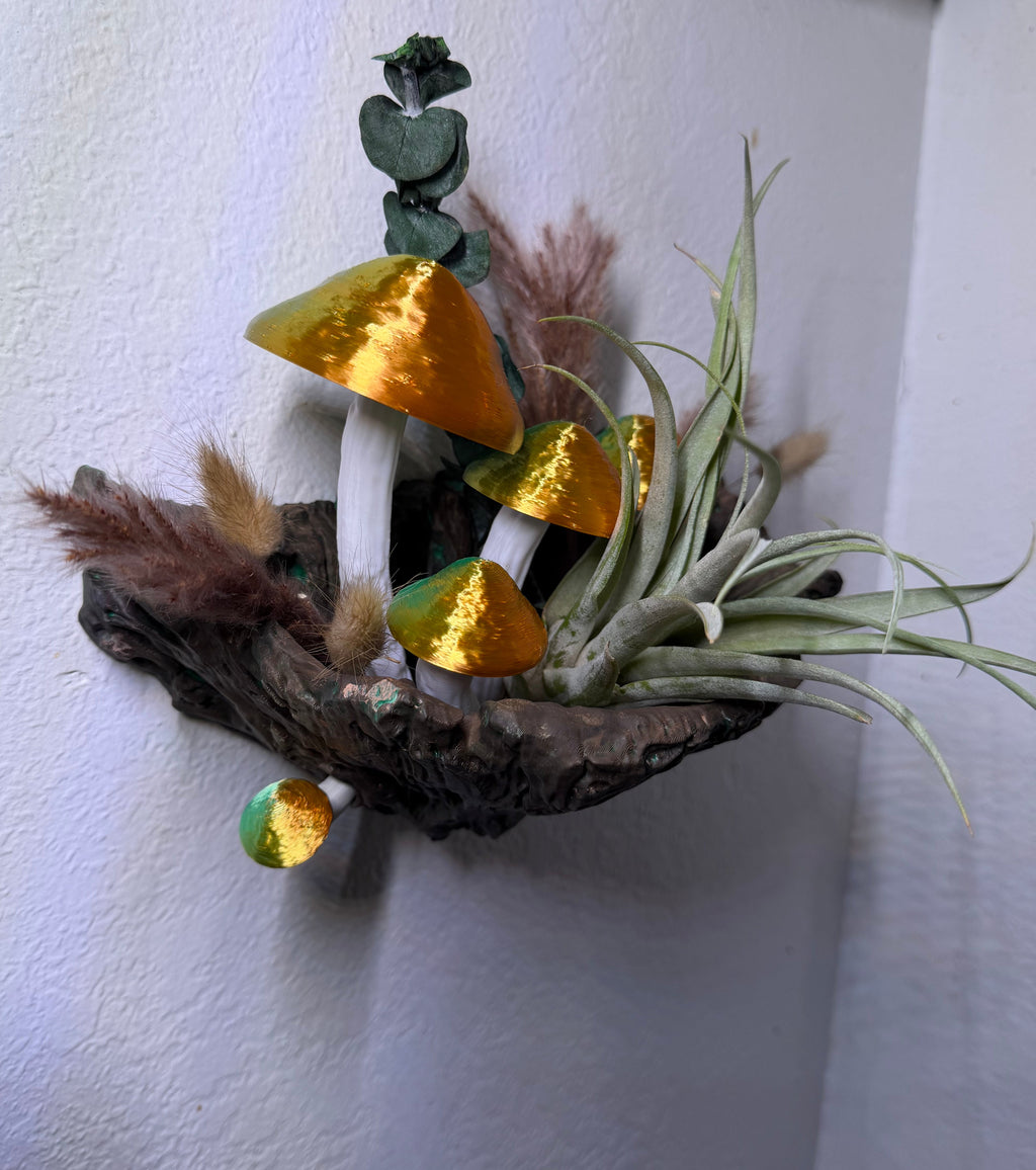 Forest Air Plant Nest