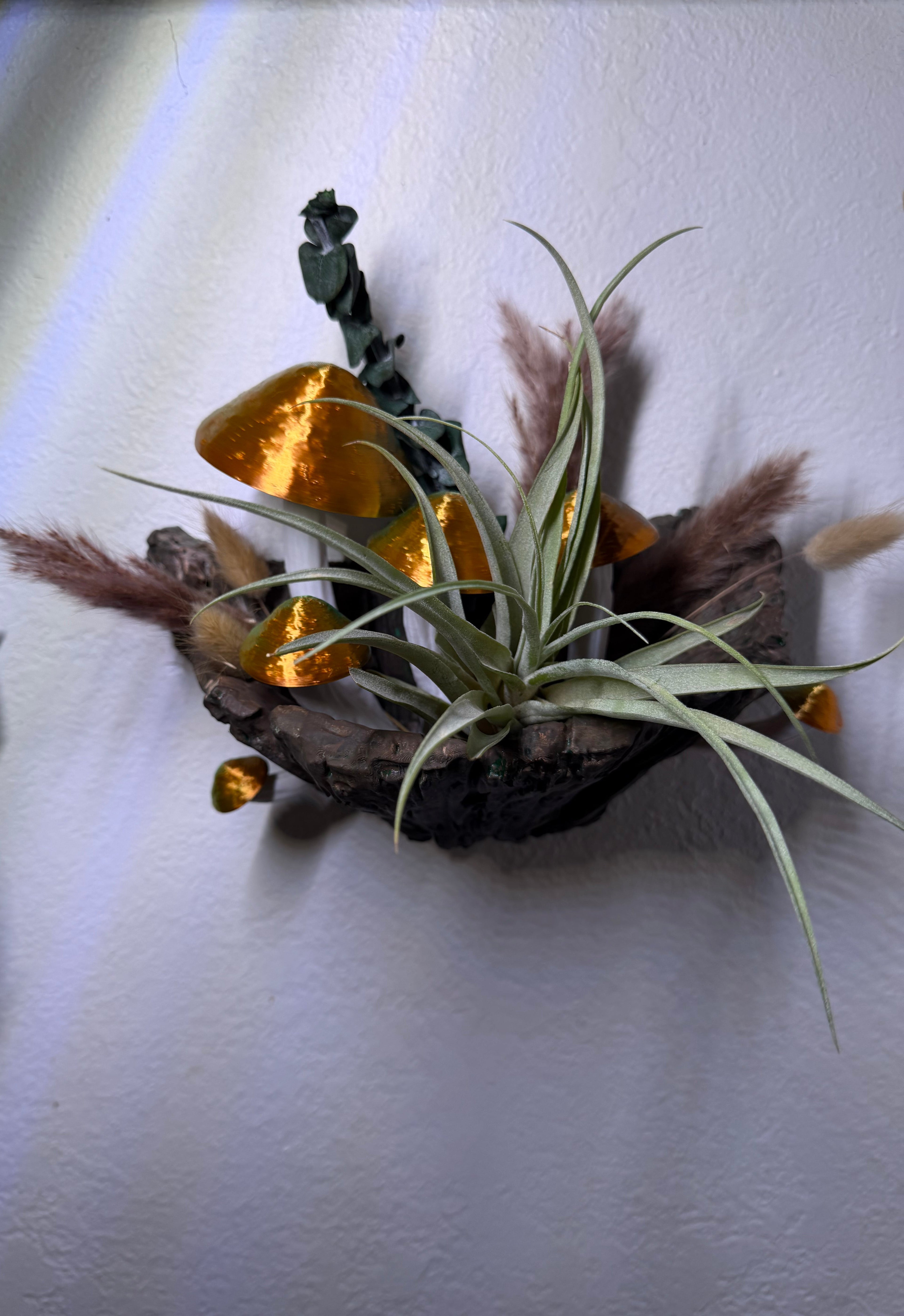Forest Air Plant Nest