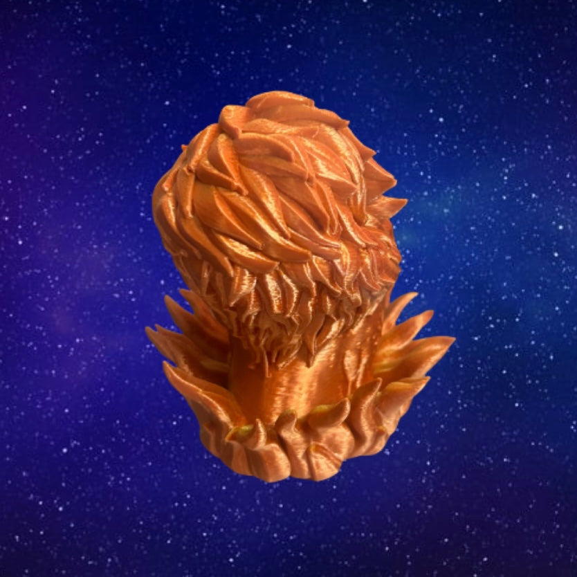 Leo Zodiac