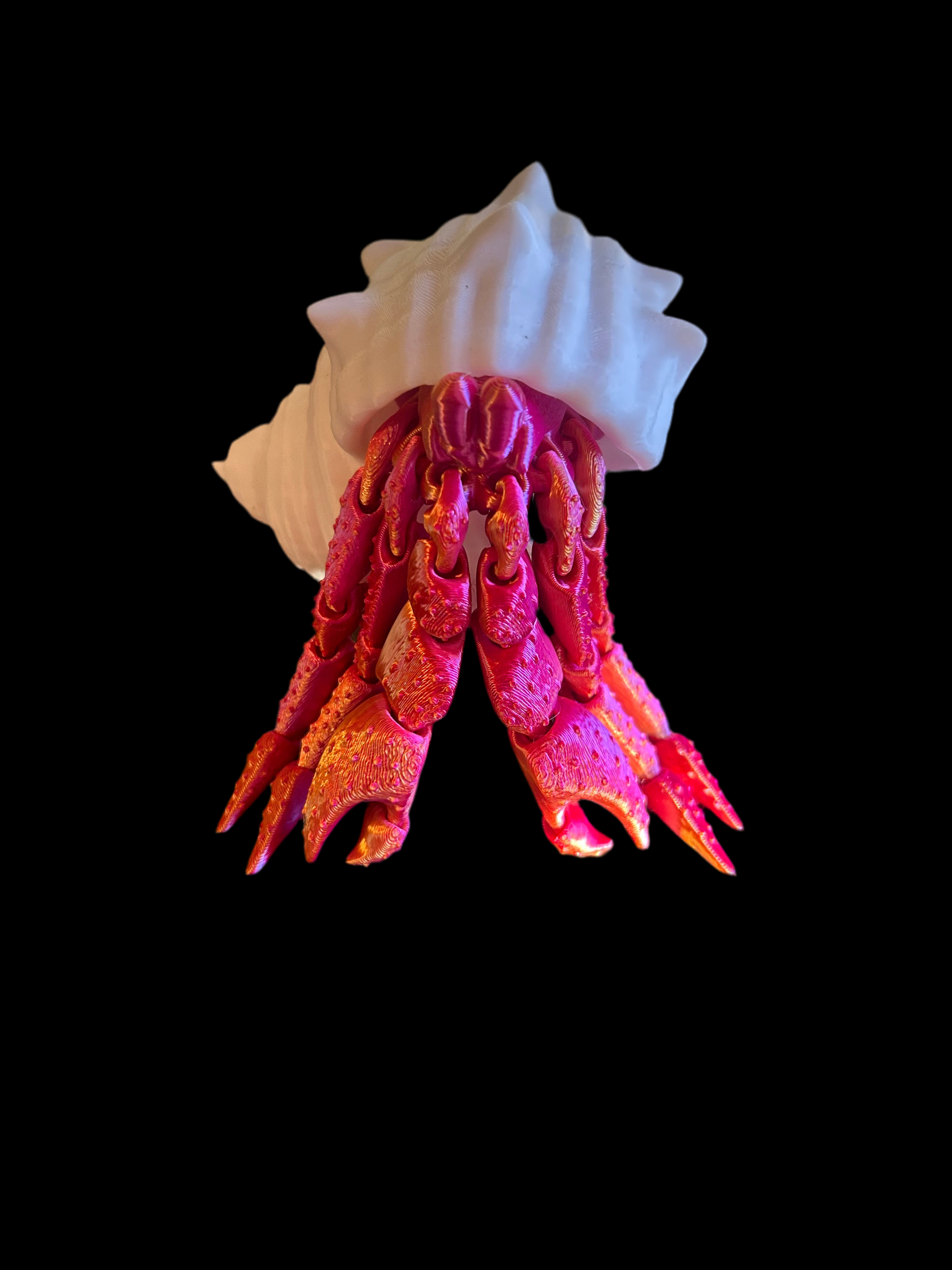 PYO Hermit Crab - Pink/Orange