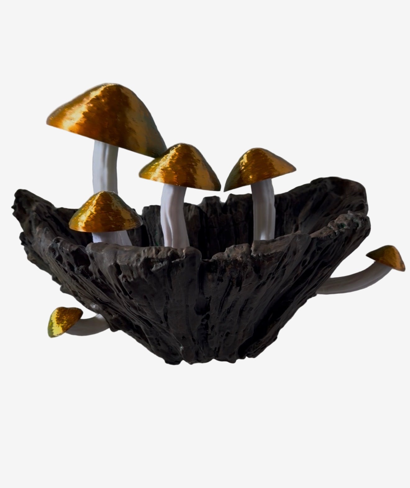 Forest Air Plant Nest