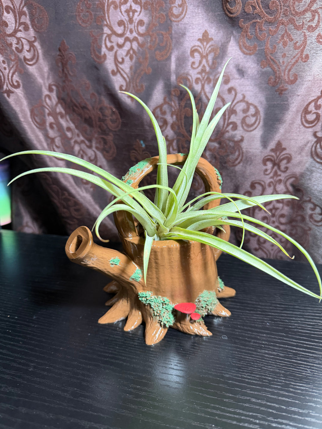 Canopy Airplant Pour