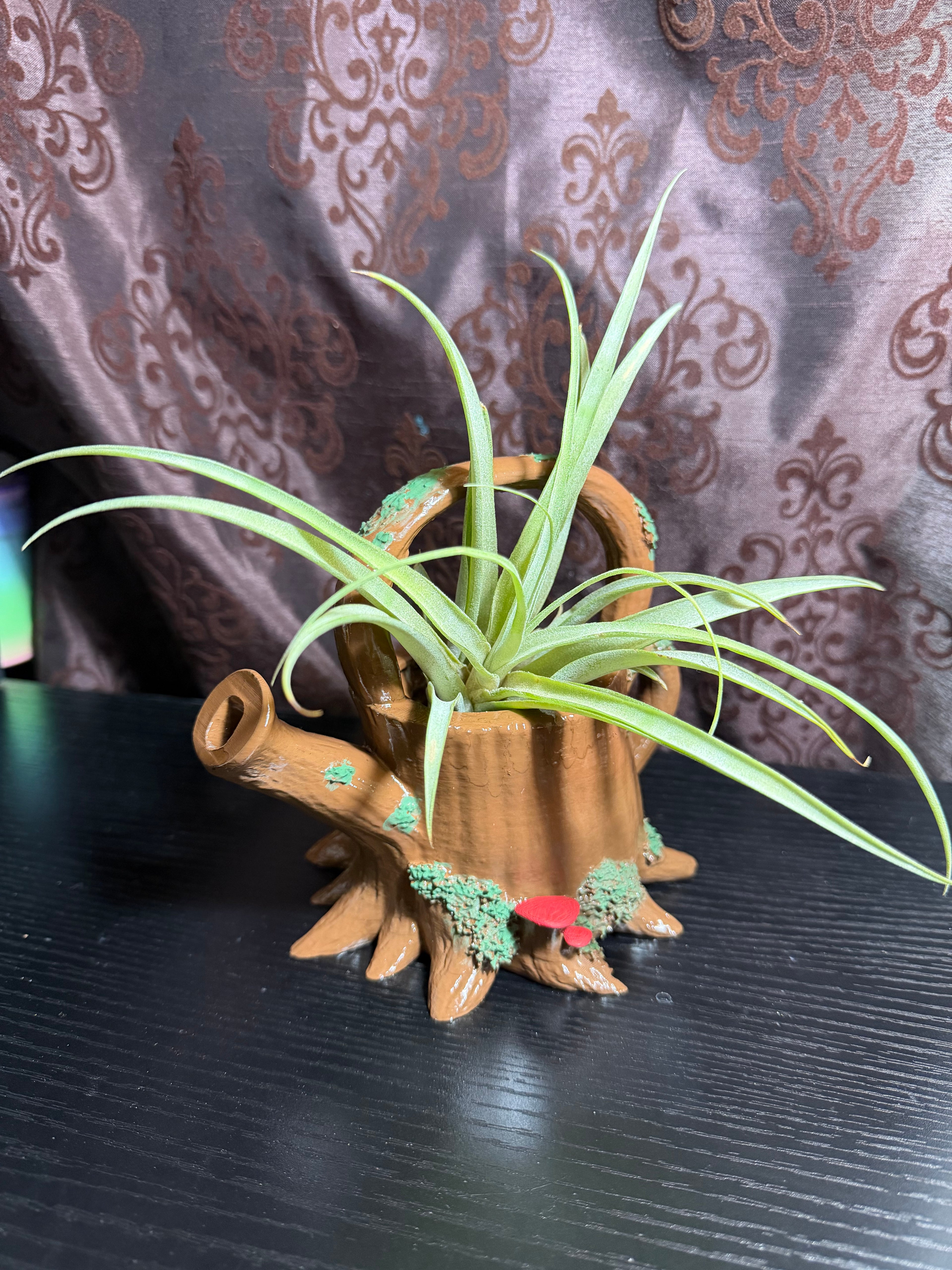 Canopy Airplant Pour