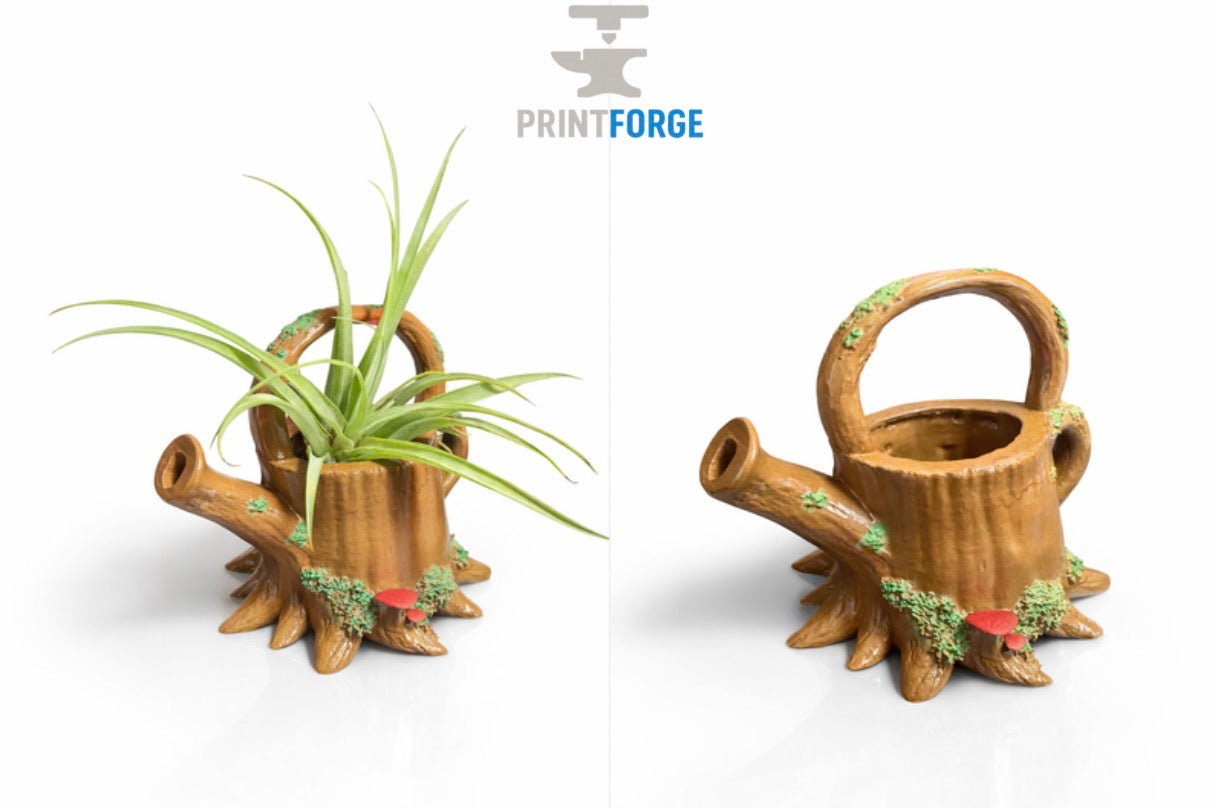 3D printed air plant holder and watering can designed for soaking air plants
