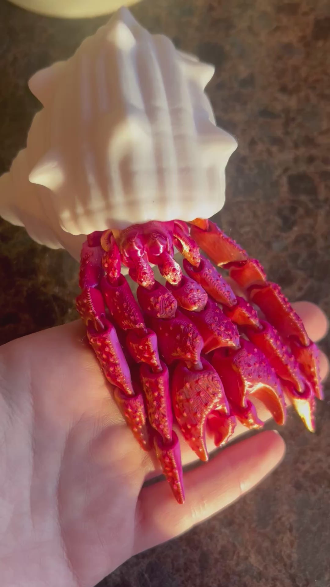 PYO Hermit Crab - Pink/Orange